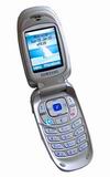 Samsung SGH-E100