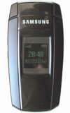 Samsung SGH-X300