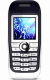 SonyEricsson J300i